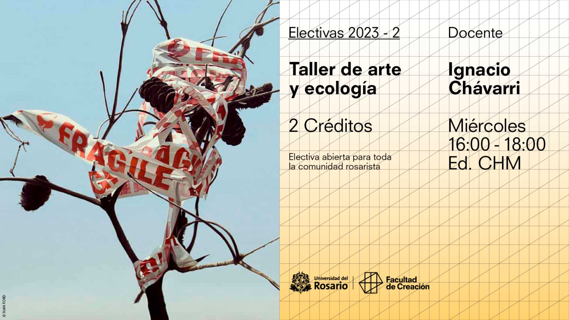 Taller de arte y ecología