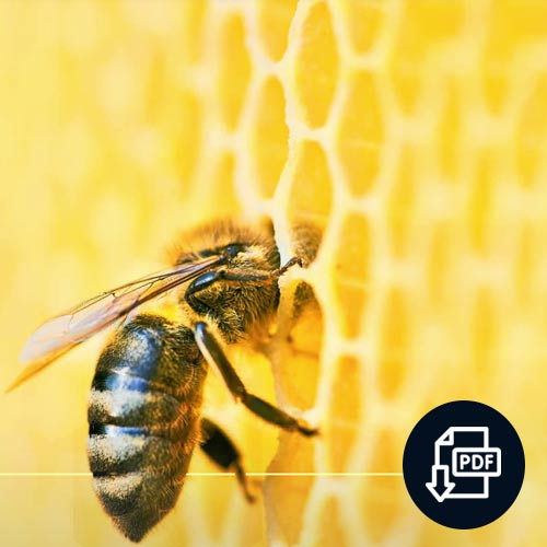 Haz clic aquí para ampliar esta información