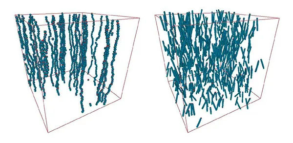 Computación Científica en el Departamento MACC de la Universidad del Rosario