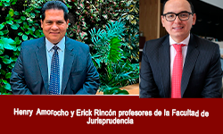 The Albatross flew across the ocean