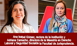 The Albatross flew across the ocean