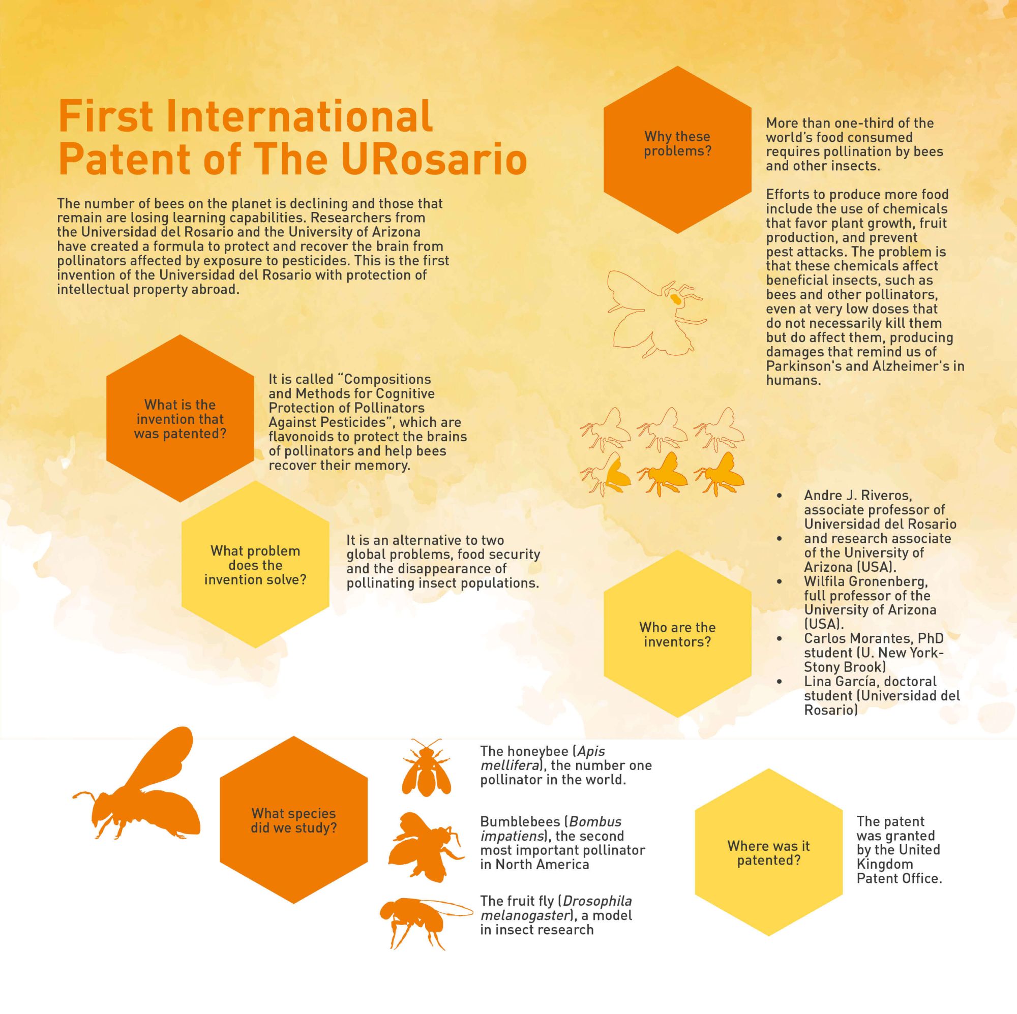 First International Patent of The URosario