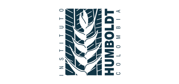 El Instituto De Investigación