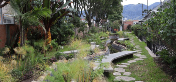 Expedición Humboldt, ruta del nuevo bosque de Quinta de Mutis