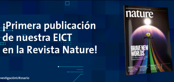 banner artículo