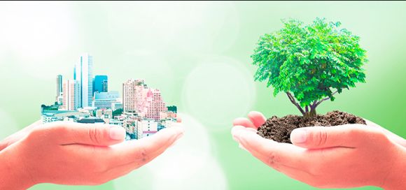 Mención de Honor al profesor Santiago Saavedra Pineda