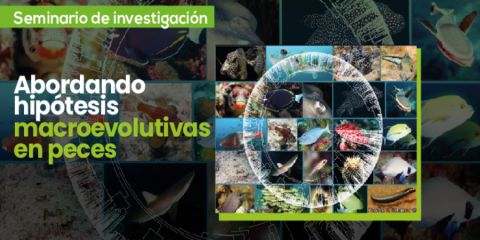 Abordando hipótesis macroevolutivas en peces