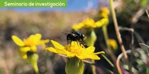  Elección de pareja, más allá del apareamiento