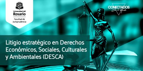 Litigio estratégico en derechos económicos