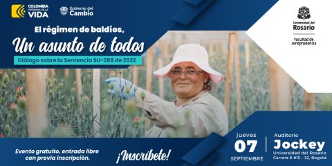 sentencia-su-288-banner