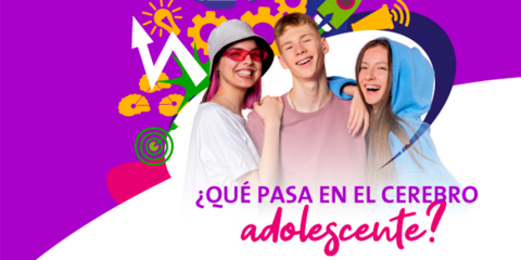 ¿Qué pasa en el cerebro adolescente?