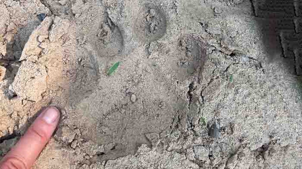 salidas-de-campo-14.jpg