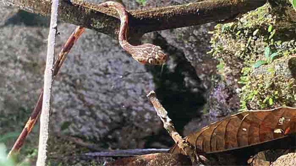 salidas-de-campo-7.jpg