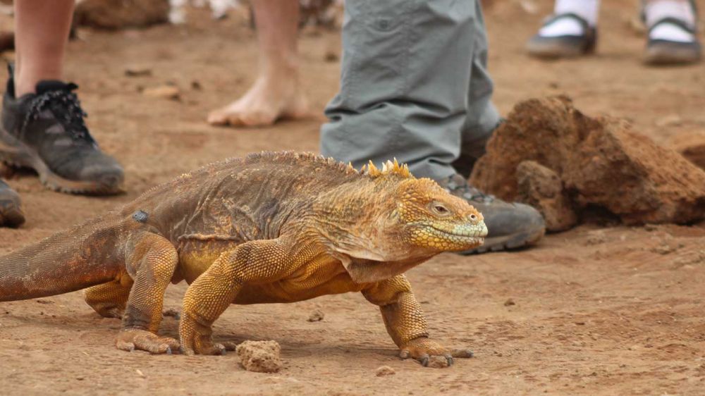 mision-galapagos
