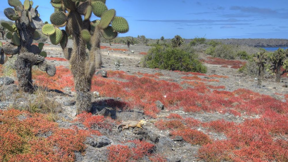 mision-galapagos