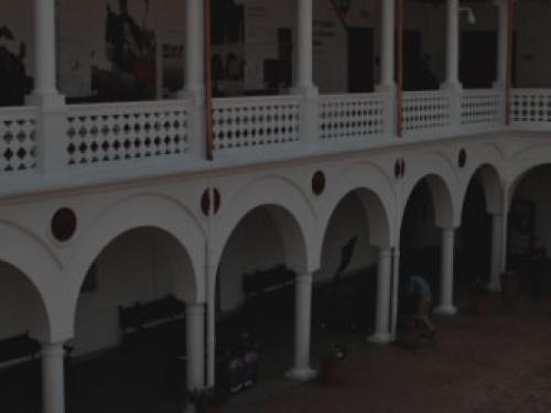 Las Constituciones CARD